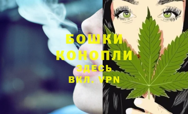 spice Беломорск