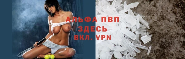 spice Беломорск
