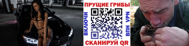 Галлюциногенные грибы Cubensis  где найти   Велиж 